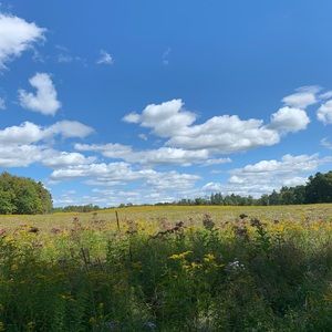 Meet your Posher, Mikayla